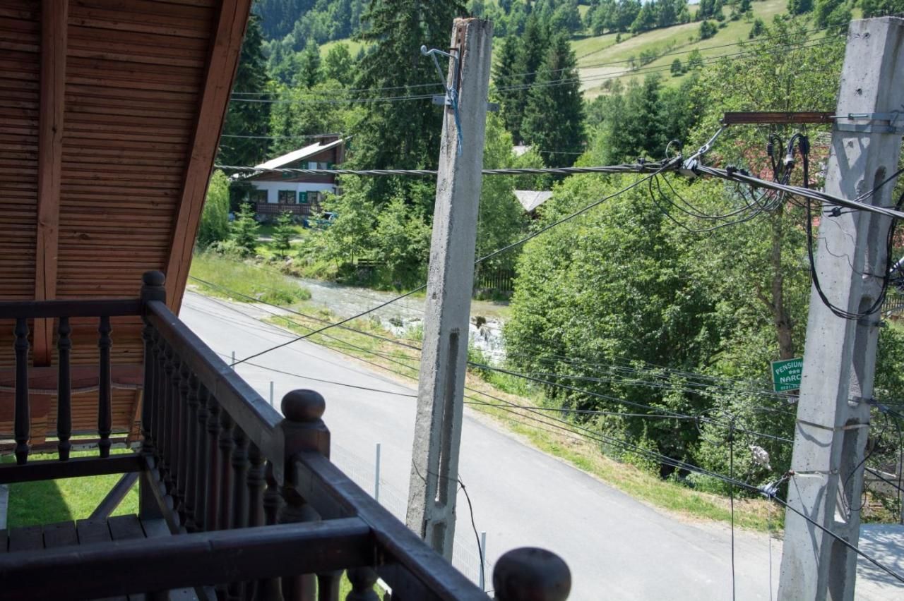Гостевой дом Green Forest Bran House Бран-16