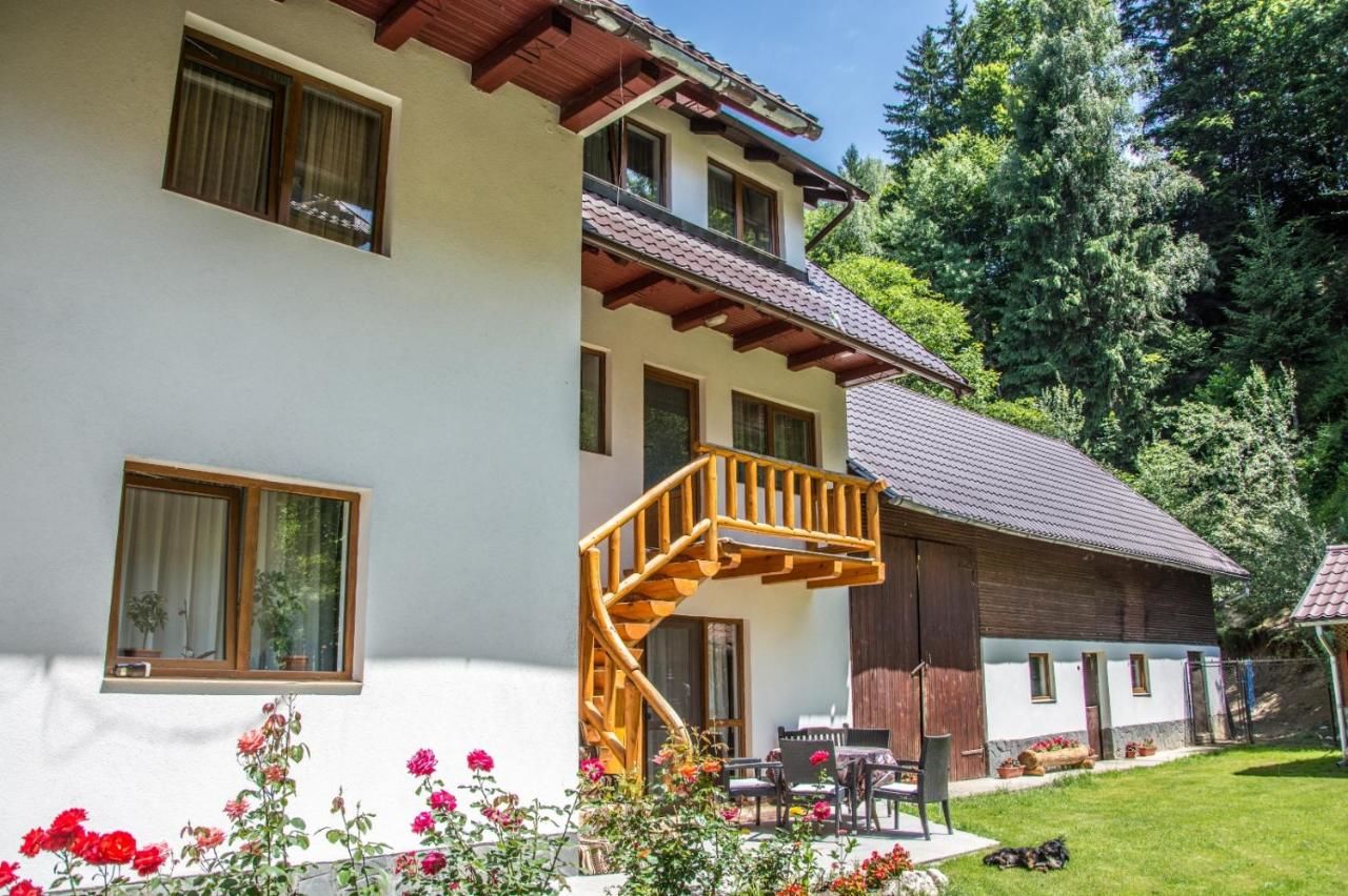 Гостевой дом Green Forest Bran House Бран-22