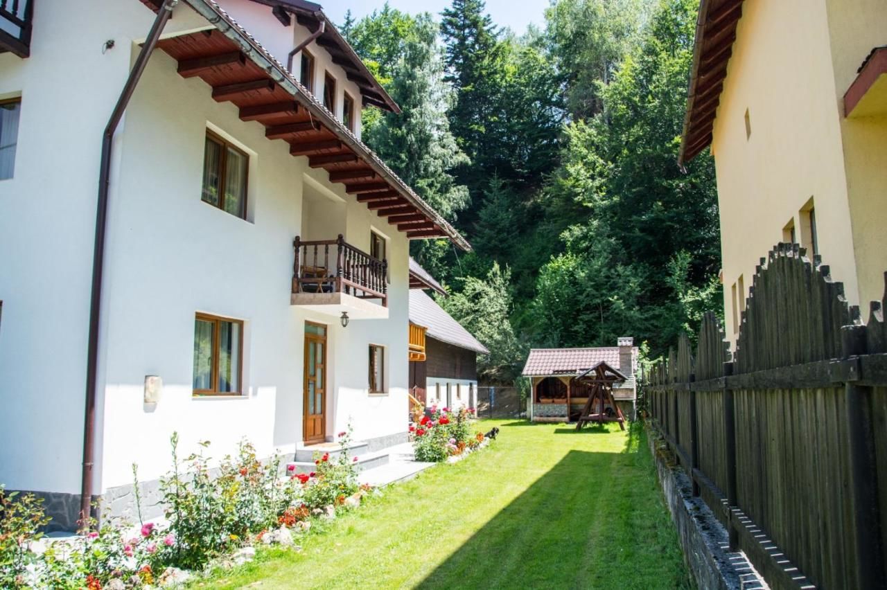 Гостевой дом Green Forest Bran House Бран-27