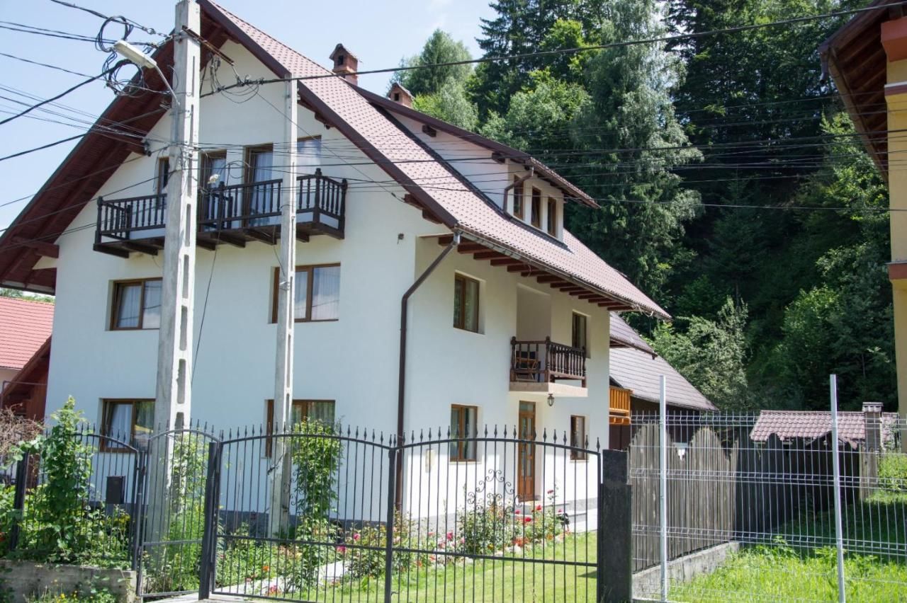 Гостевой дом Green Forest Bran House Бран-28