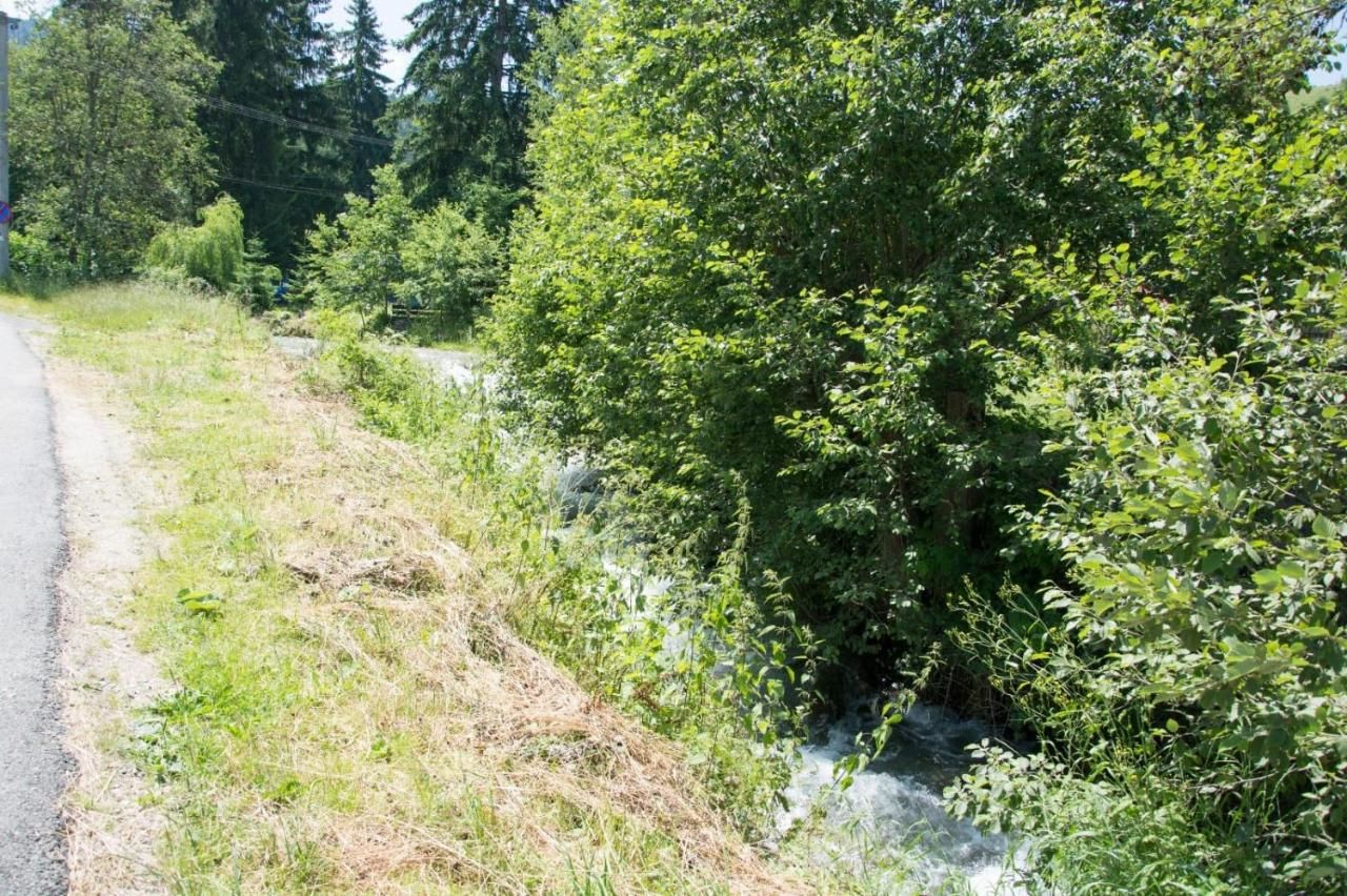 Гостевой дом Green Forest Bran House Бран-33